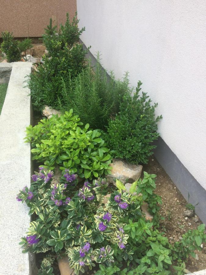 Apartment Cesarica Zewnętrze zdjęcie